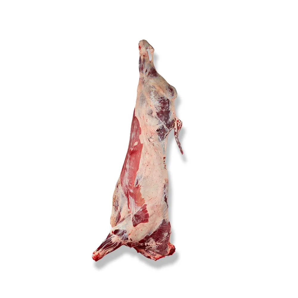 FROZEN BEEF CARCASS