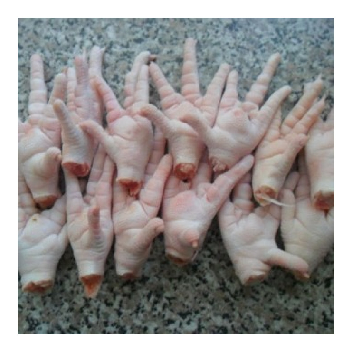 Halal Frozen Turkey Paws