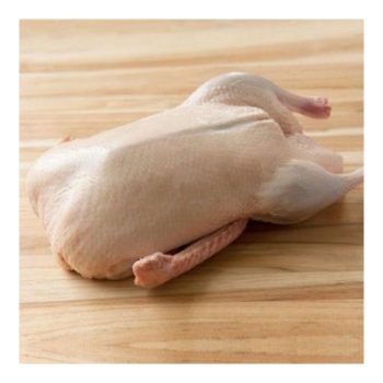 Halal Frozen Whole Duck