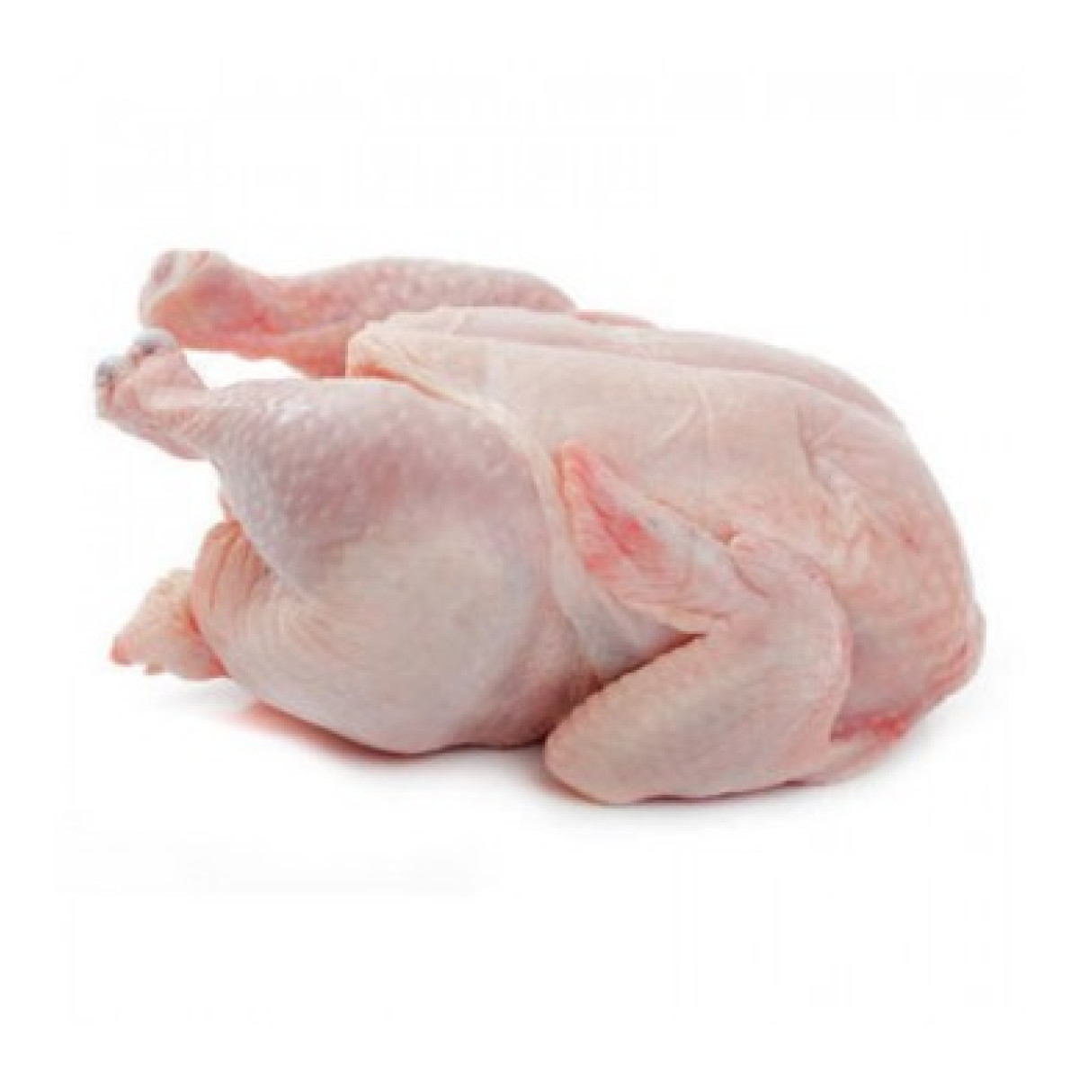 Halal Frozen Whole Turkey