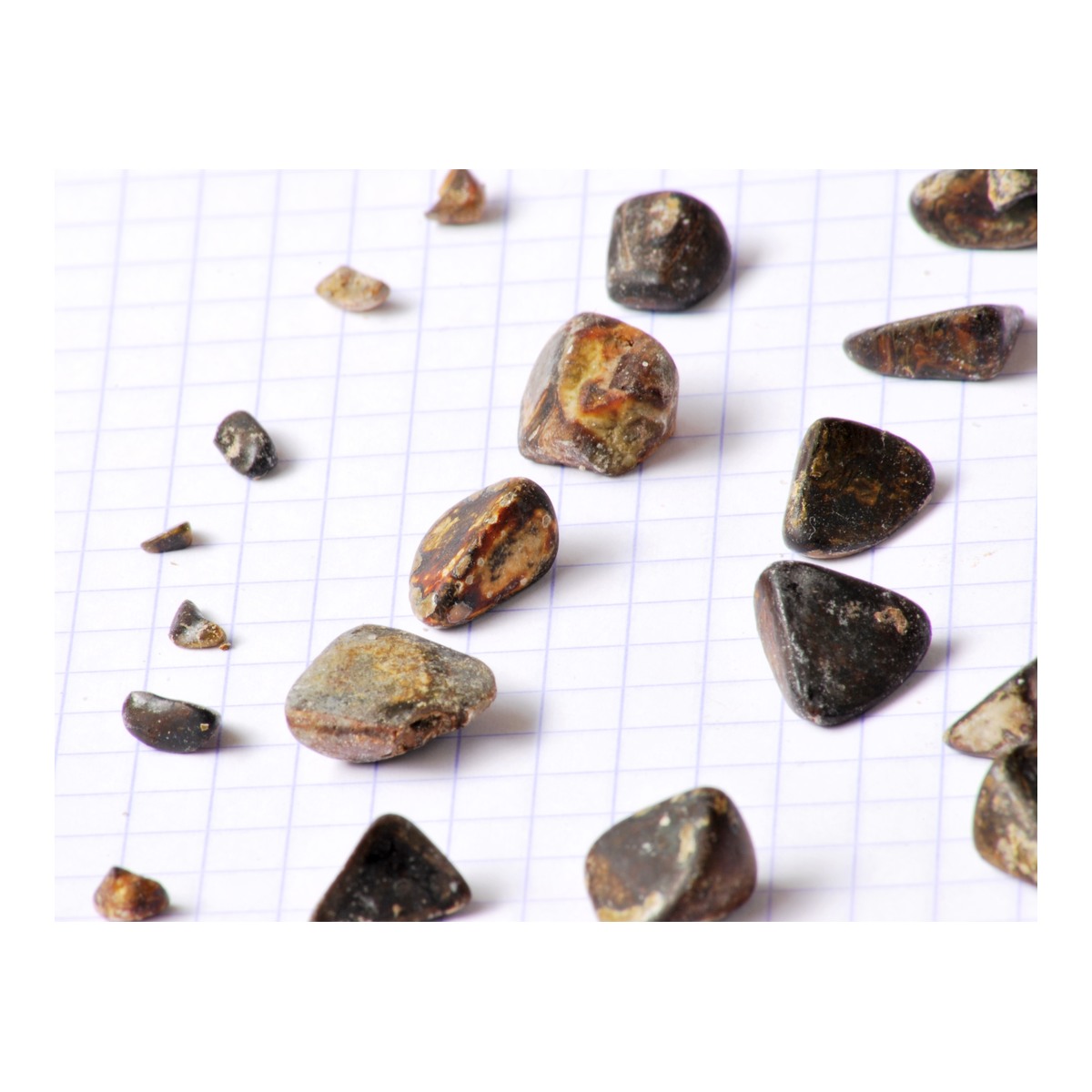 Cow Gallstone