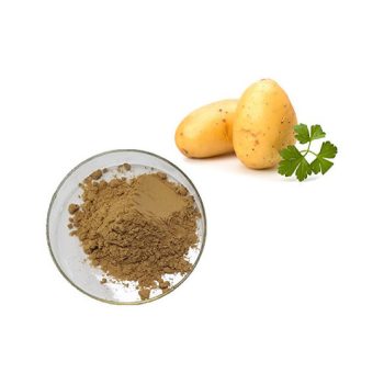 Potato Starch Flour wholesale product on a clean white background