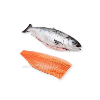 Salmon Fish