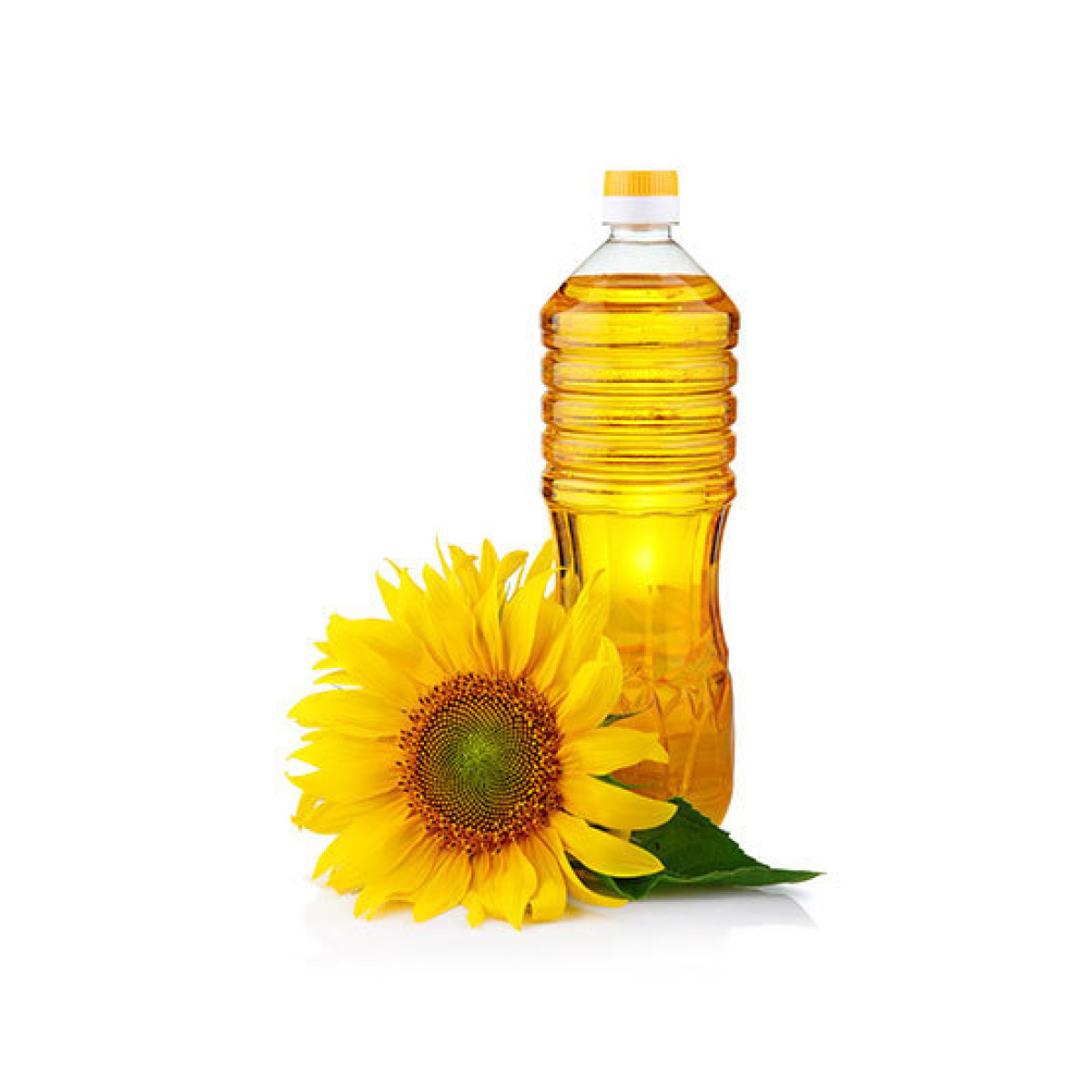Sunflower Oil
