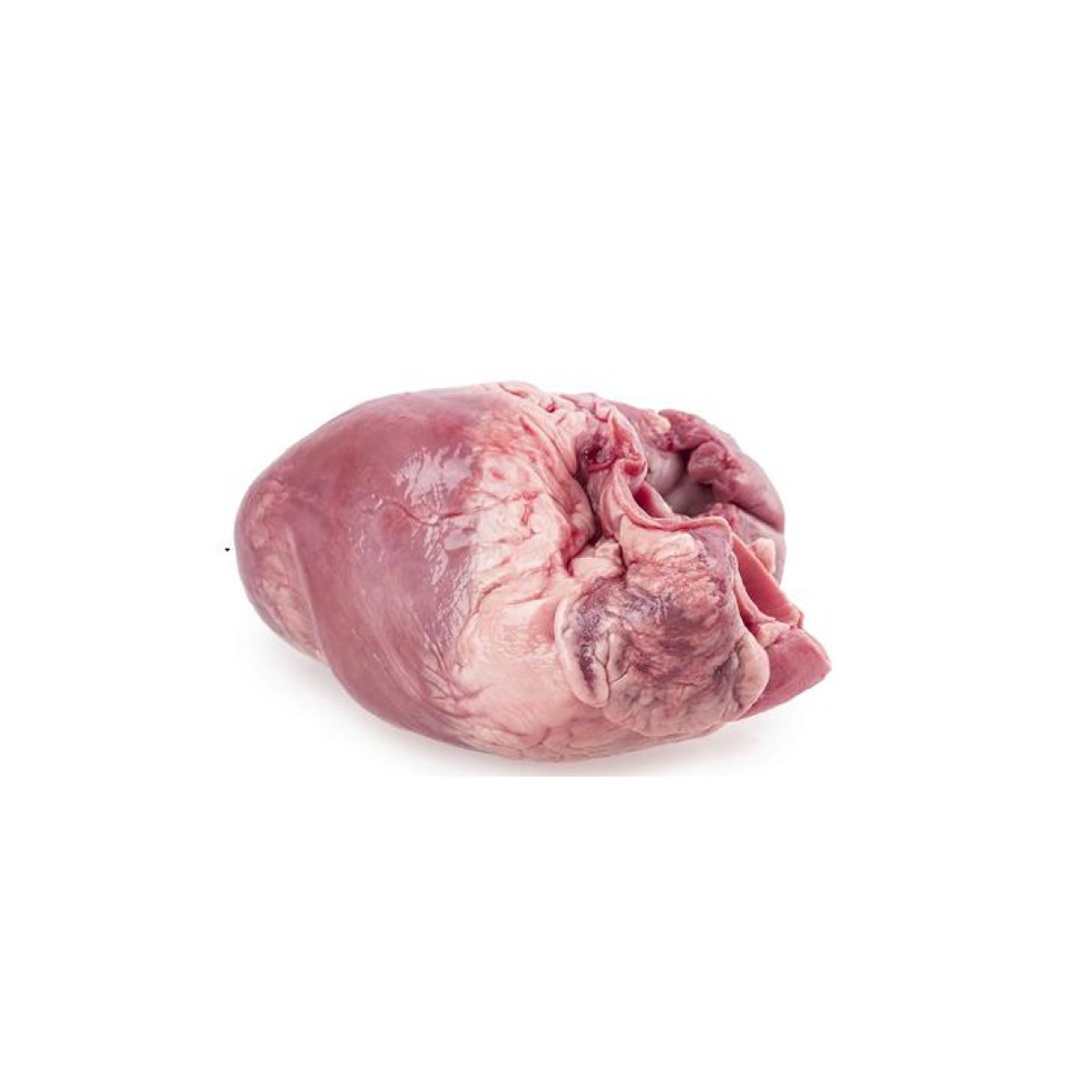 Wholesale Frozen Pork Heart