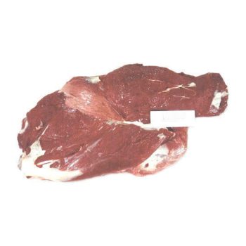 Wholesale Halal Frozen Buffalo Blade