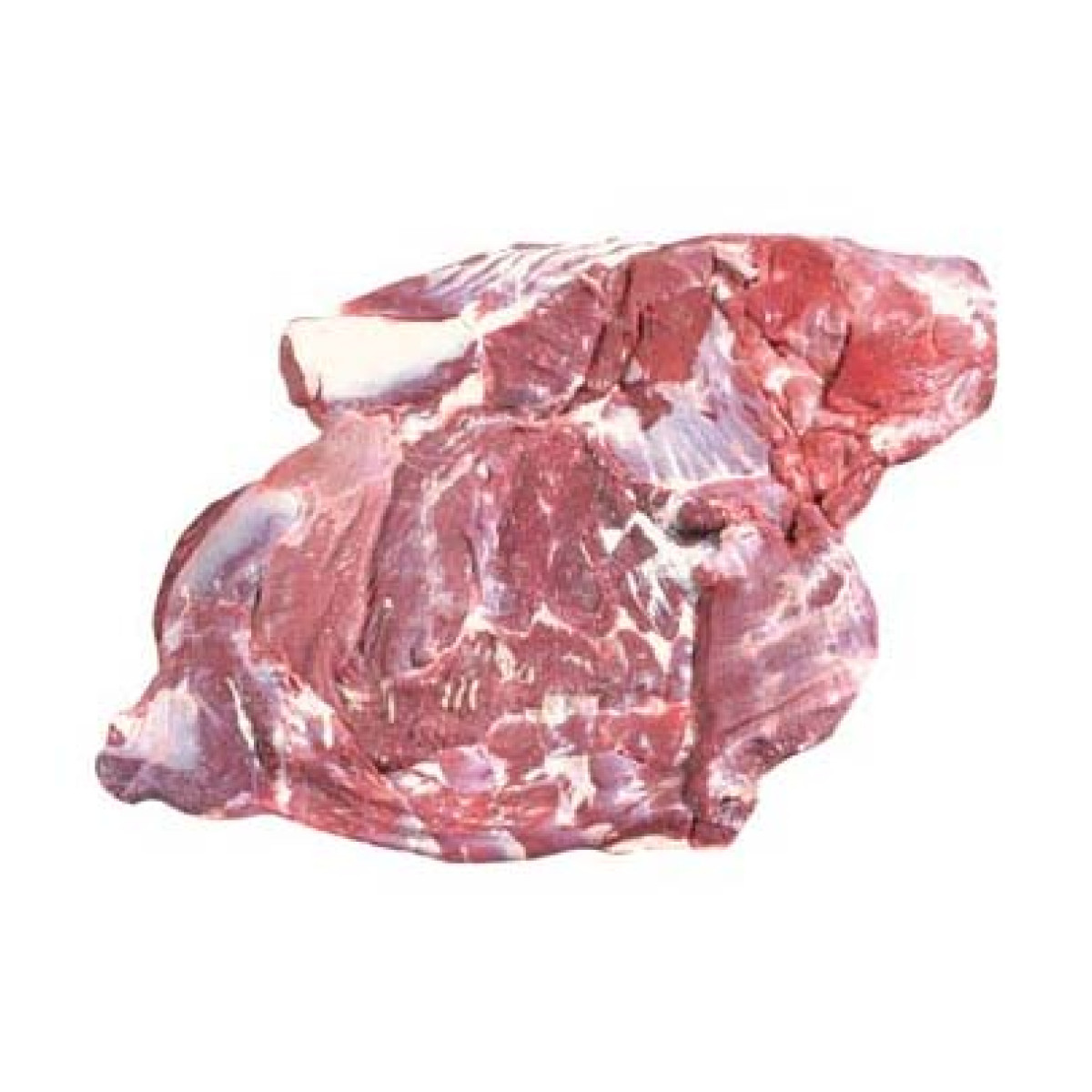 Wholesale HALAL Frozen Buffalo Forequarter