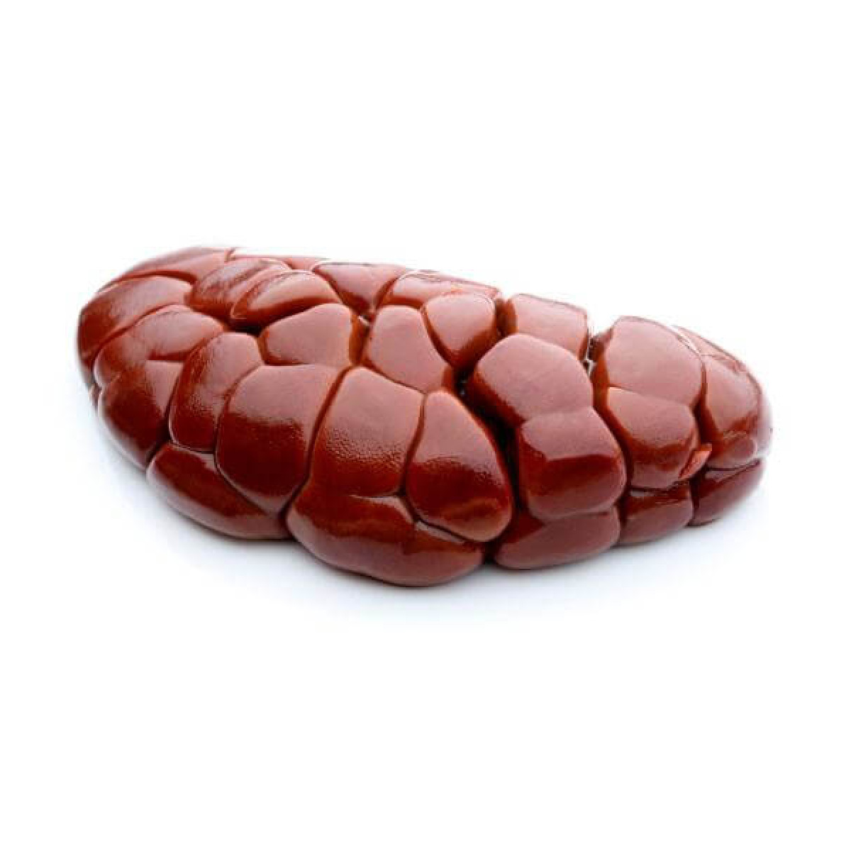 Wholesale HALAL Frozen Buffalo Kidney