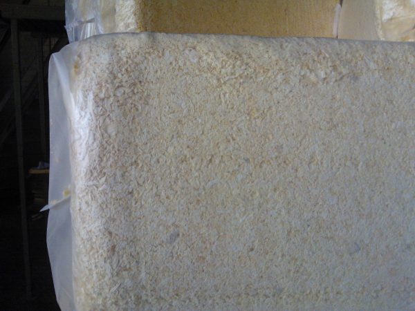 Wood Shavings